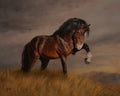 The Stallion